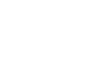 動画を見る