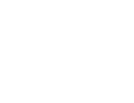 動画を見る